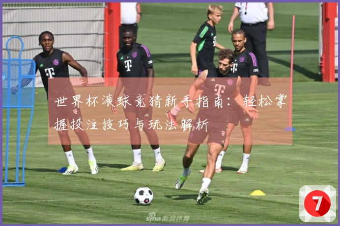 世界杯滚球竞猜新手指南：轻松掌握投注技巧与玩法解析
