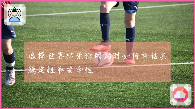选择世界杯竞猜网站时如何评估其稳定性和安全性