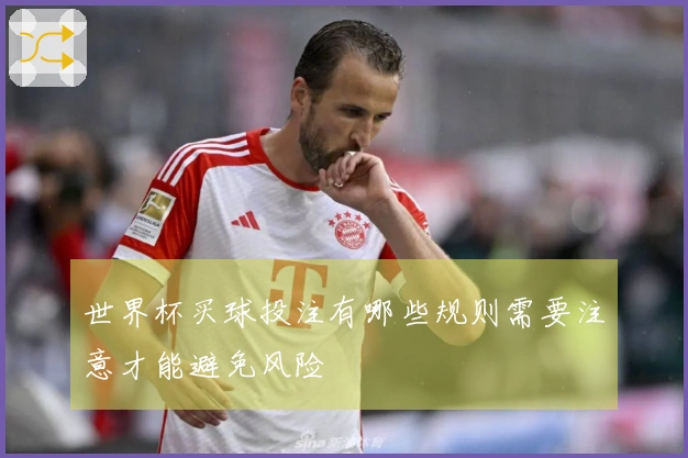 世界杯买球投注有哪些规则需要注意才能避免风险