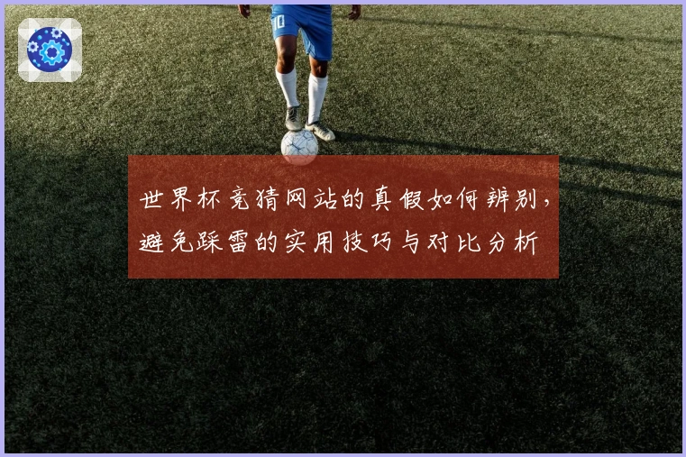 世界杯竞猜网站的真假如何辨别，避免踩雷的实用技巧与对比分析
