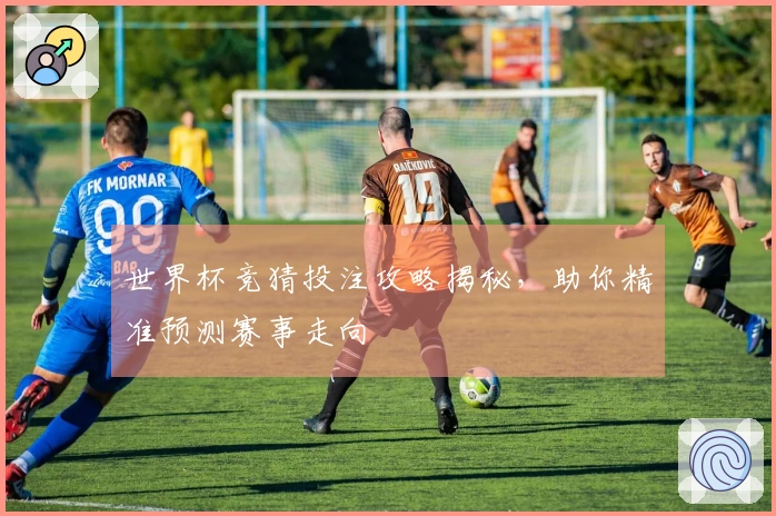 世界杯竞猜投注攻略揭秘，助你精准预测赛事走向
