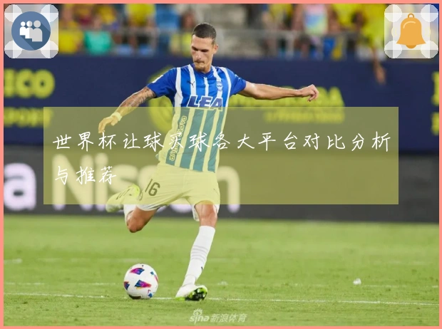 世界杯让球买球各大平台对比分析与推荐