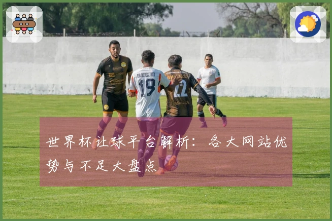 世界杯让球平台解析：各大网站优势与不足大盘点