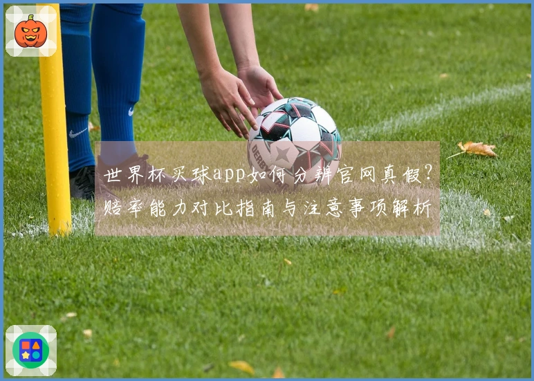 世界杯买球app如何分辨官网真假？赔率能力对比指南与注意事项解析