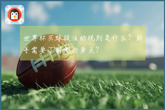 世界杯买球投注的规则是什么？新手需要了解哪些要点？