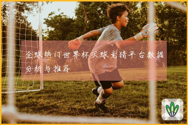 全球热门世界杯买球竞猜平台数据分析与推荐