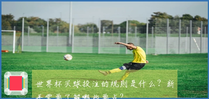 世界杯买球投注的规则是什么？新手需要了解哪些要点？