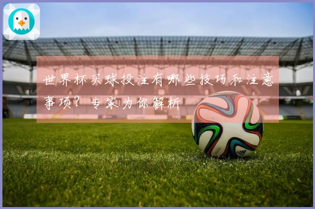 世界杯买球投注有哪些技巧和注意事项？专家为你解析
