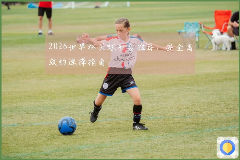 2026世界杯买球平台推荐，安全高效的选择指南